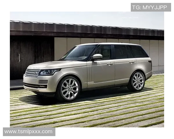 十大足球巨星豪车座驾揭秘豪华与性能并存的极致体验